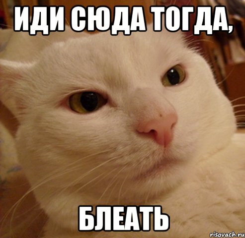 ИДИ СЮДА ТОГДА, БЛЕАТЬ