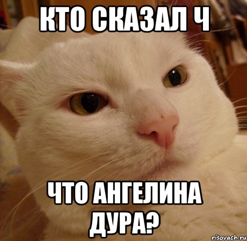 Кто сказал ч что Ангелина дура?