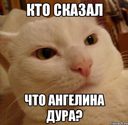 Кто сказал что Ангелина дура?