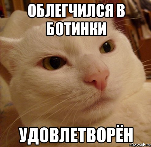 облегчился в ботинки удовлетворён