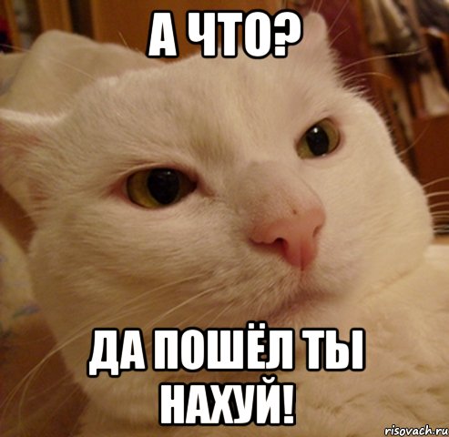 А что? Да пошёл ты нахуй!