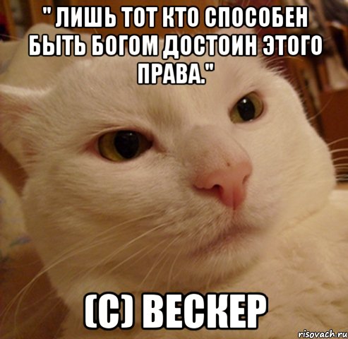 " Лишь тот кто способен быть богом достоин этого права." (С) Вескер