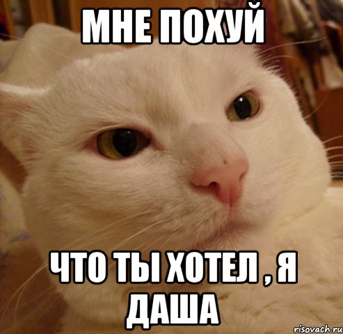 МНЕ ПОХУЙ ЧТО ТЫ ХОТЕЛ , Я ДАША