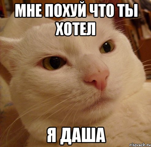 МНЕ ПОХУЙ ЧТО ТЫ ХОТЕЛ Я ДАША