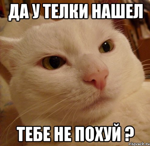 ДА У ТЕЛКИ НАШЕЛ ТЕБЕ НЕ ПОХУЙ ?