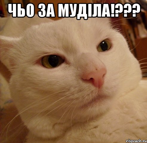 Чьо за муділа!??? 