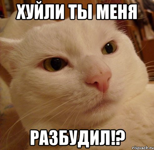 Хуйли ты меня РАЗБУДИЛ!?
