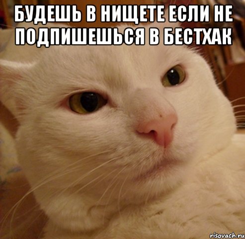 Будешь в Нищете если не подпишешься в БестХак 