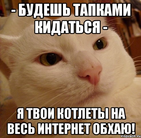 - будешь тапками кидаться - я твои котлеты на весь интернет обхаю!