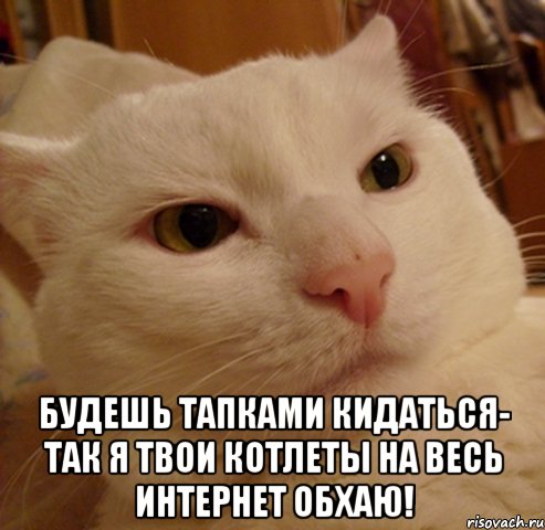  Будешь тапками кидаться- так я твои котлеты на весь интернет обхаю!