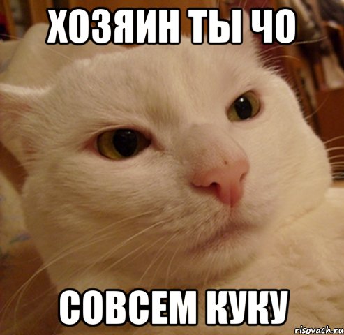 хозяин ты чо совсем куку