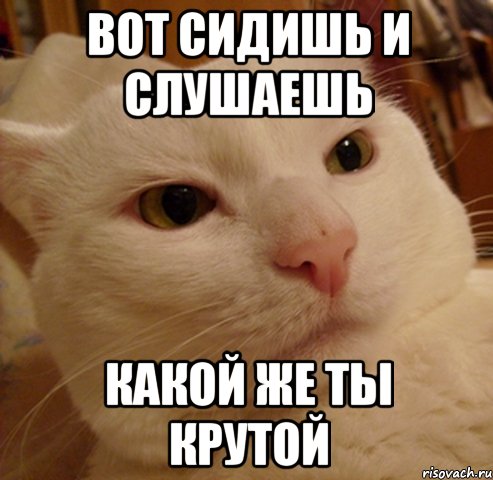 Вот сидишь и слушаешь Какой же ты крутой