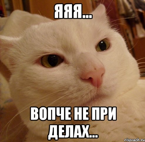 ЯЯЯ... ВОПЧЕ не при делах...