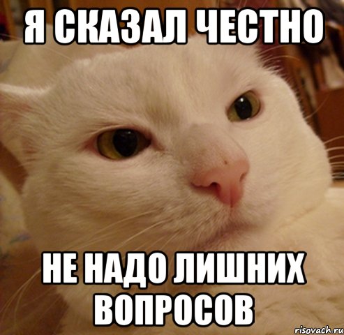 Я сказал честно Не надо лишних вопросов