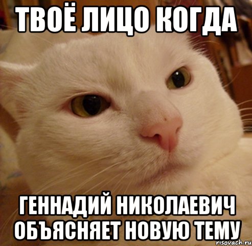 Твоё лицо когда Геннадий Николаевич объясняет новую тему