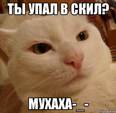 Ты упал в скил? Мухаха-_-