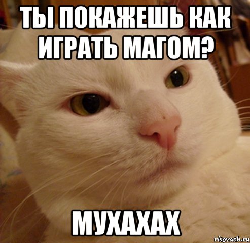 Ты покажешь как играть магом? Мухахах