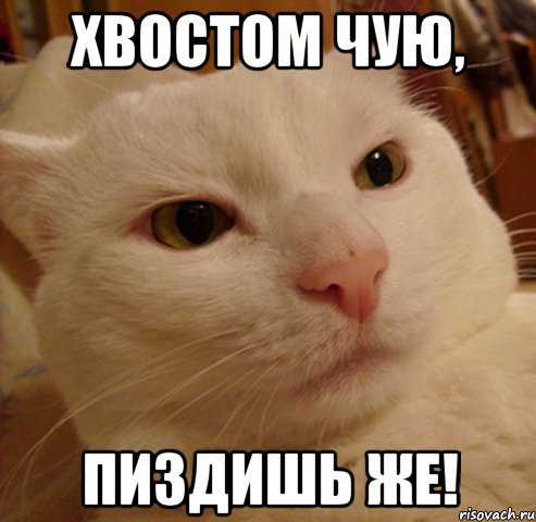 хвостом чую, пиздишь же!