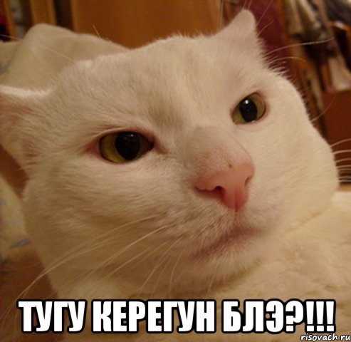  тугу керегун блэ?!!!