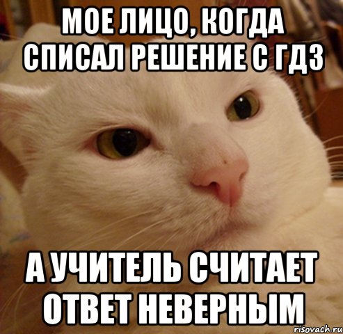 Мое лицо, когда списал решение с ГДЗ а учитель считает ответ неверным