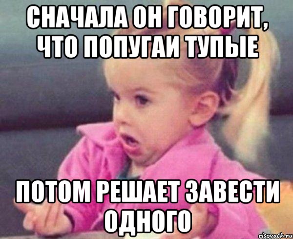 сначала он говорит, что попугаи тупые потом решает завести одного, Мем  Ты говоришь (девочка возмущается)