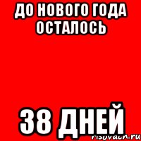 до Нового Года осталось 38 дней