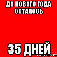 до НОВОГО ГОДА осталось 35 дней