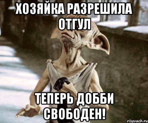 Хозяйка разрешила отгул теперь добби свободен!