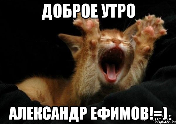 доброе утро александр ефимов!=)