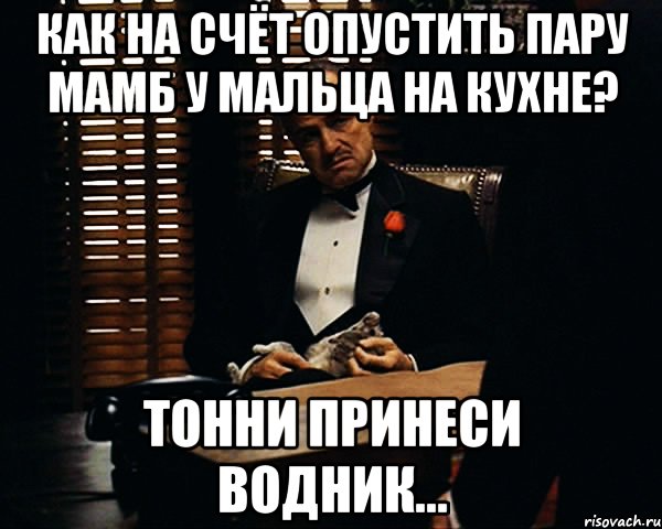 как на счёт опустить пару мамб у мальца на кухне? тонни принеси водник..., Мем Дон Вито Корлеоне