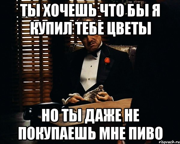 ты хочешь что бы я купил тебе цветы но ты даже не покупаешь мне пиво, Мем Дон Вито Корлеоне