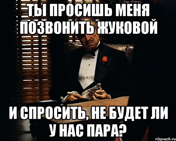 ты просишь меня позвонить жуковой и спросить, не будет ли у нас пара?, Мем Дон Вито Корлеоне