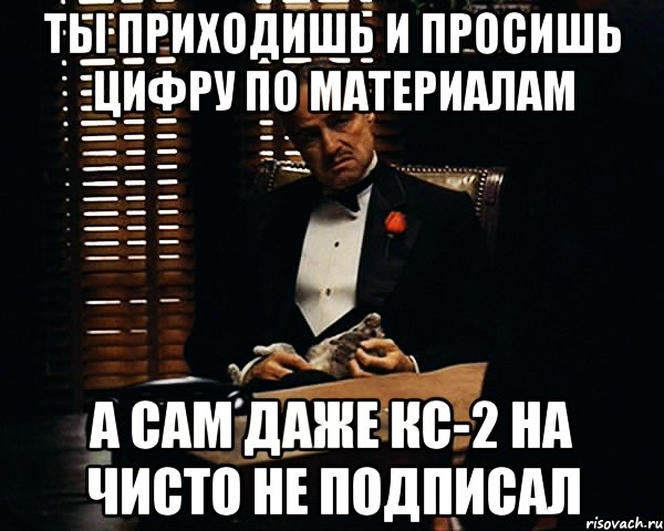 ты приходишь и просишь цифру по материалам а сам даже кс-2 на чисто не подписал, Мем Дон Вито Корлеоне