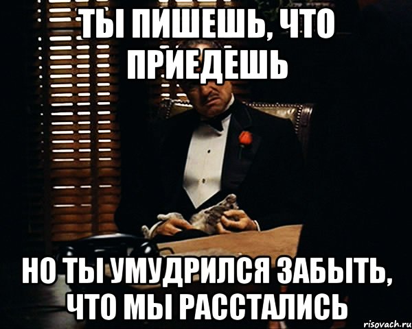 ты пишешь, что приедешь но ты умудрился забыть, что мы расстались, Мем Дон Вито Корлеоне