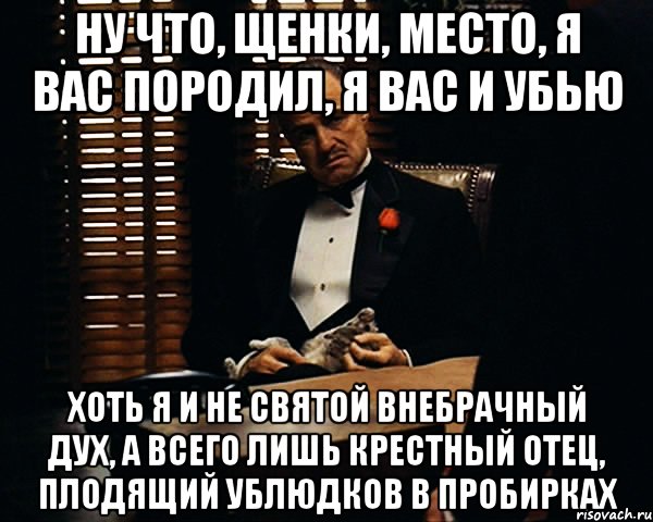 Ну что, щенки, место, я вас породил, я вас и убью Хоть я и не святой внебрачный дух, а всего лишь крестный отец, плодящий ублюдков в пробирках, Мем Дон Вито Корлеоне