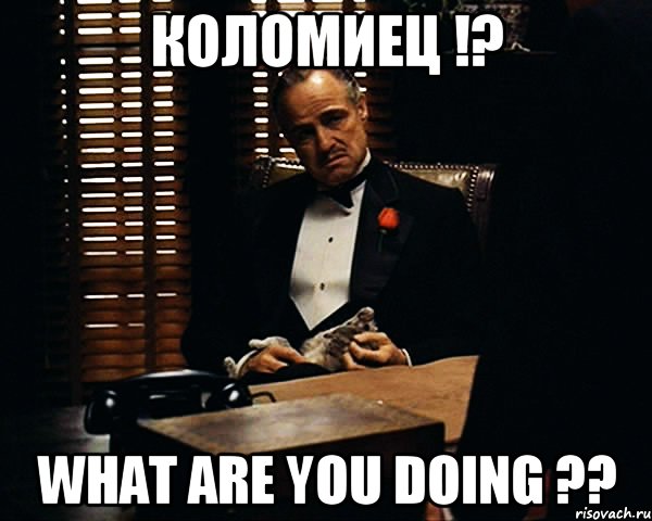 Коломиец !? what are you doing ??, Мем Дон Вито Корлеоне