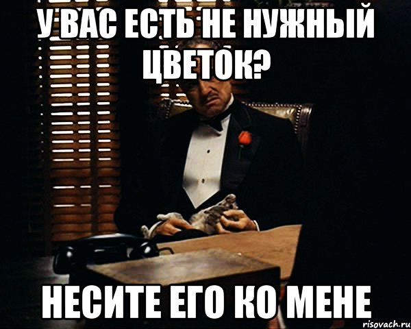 у вас есть не нужный цветок? несите его ко мене, Мем Дон Вито Корлеоне