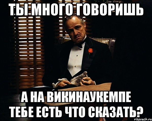 Ты много говоришь а на ВикиНАУКемпе тебе есть что сказать?, Мем Дон Вито Корлеоне