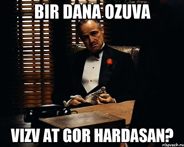 bir dana ozuva vizv at gor hardasan?, Мем Дон Вито Корлеоне