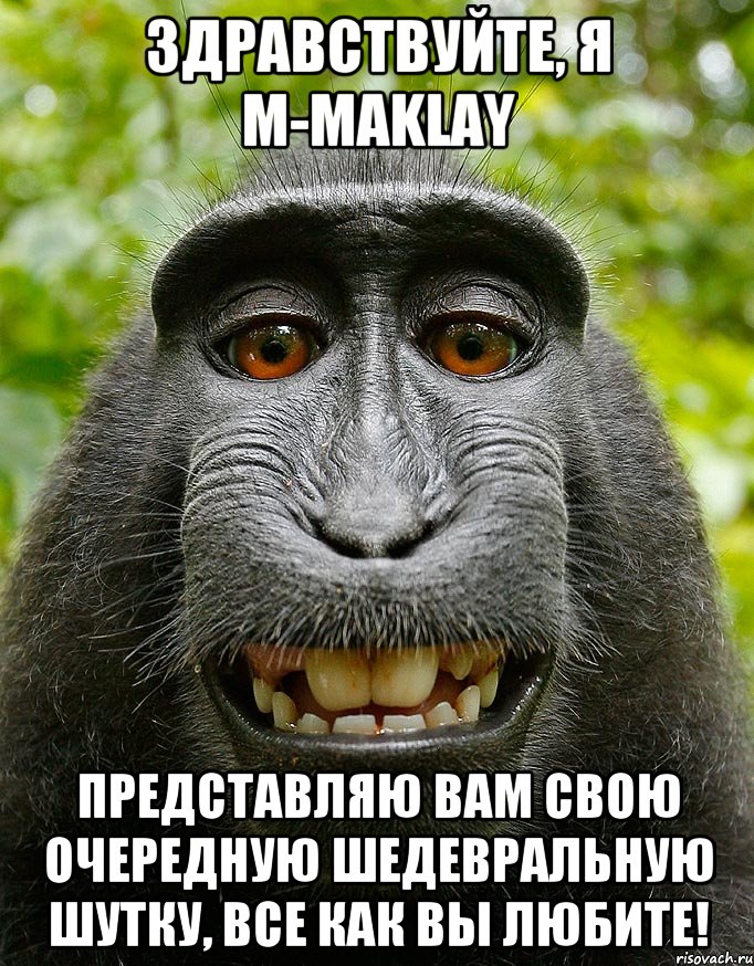 здравствуйте, я m-maklay представляю вам свою очередную шедевральную шутку, все как вы любите!, Мем  Довольная обезьяна