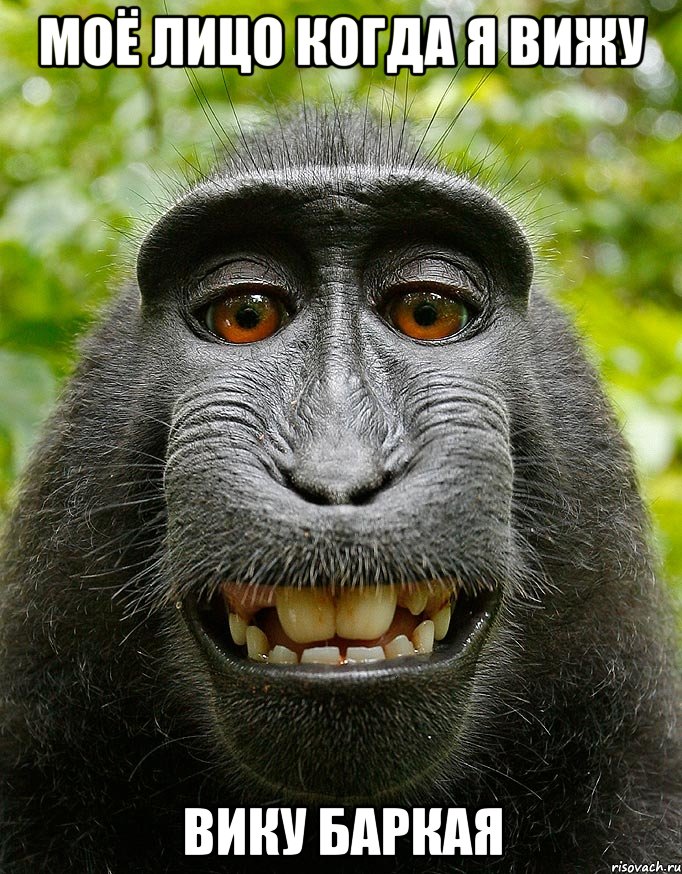моё лицо когда я вижу Вику Баркая, Мем  Довольная обезьяна