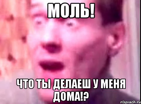 моль! что ты делаеш у меня дома!?, Мем Дверь мне запили