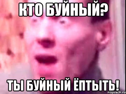 Кто буйный? Ты буйный ёптыть!, Мем Дверь мне запили