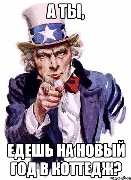 а ты, едешь на новый год в коттедж?