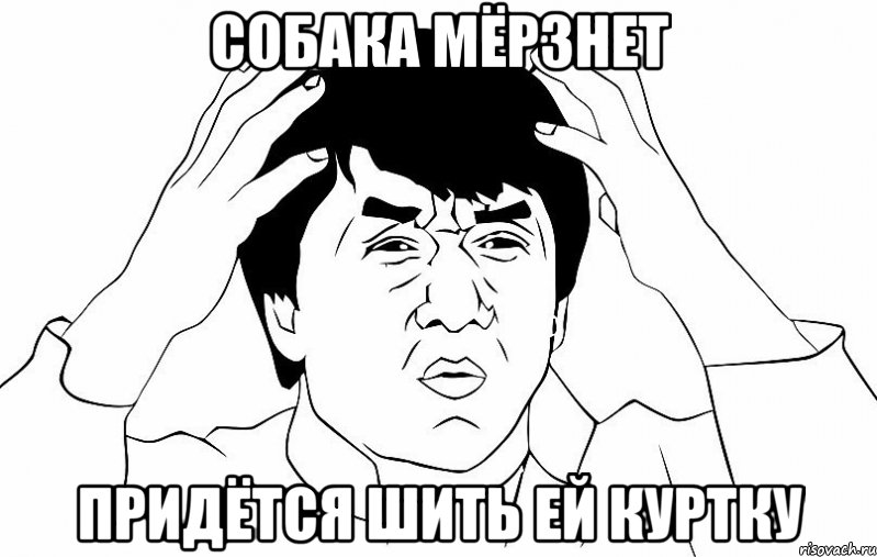 Собака мёрзнет придётся шить ей куртку, Мем ДЖЕКИ ЧАН