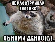 не расстраивай енотика обними дениску!, Мем енотик