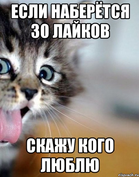если наберётся 30 лайков скажу кого люблю