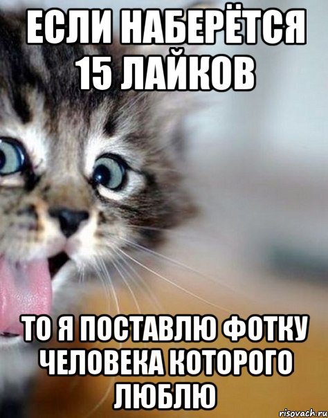если наберётся 15 лайков то я поставлю фотку человека которого люблю