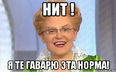 Нит ! Я те гаварю эта НОРМА!, Мем Это норма