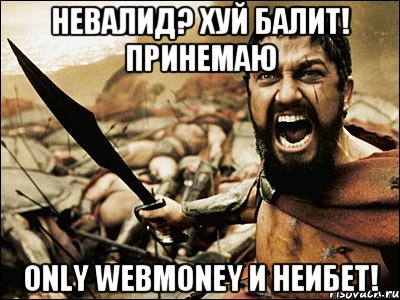 невалид? хуй балит! принемаю only webmoney и неибет!, Мем Это Спарта